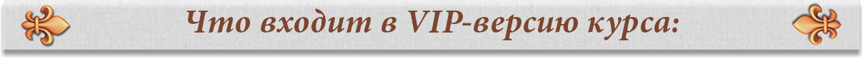 Что входит в VIP-версию курса: